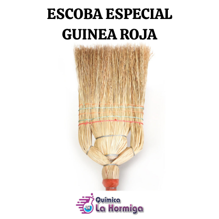 product-card-image